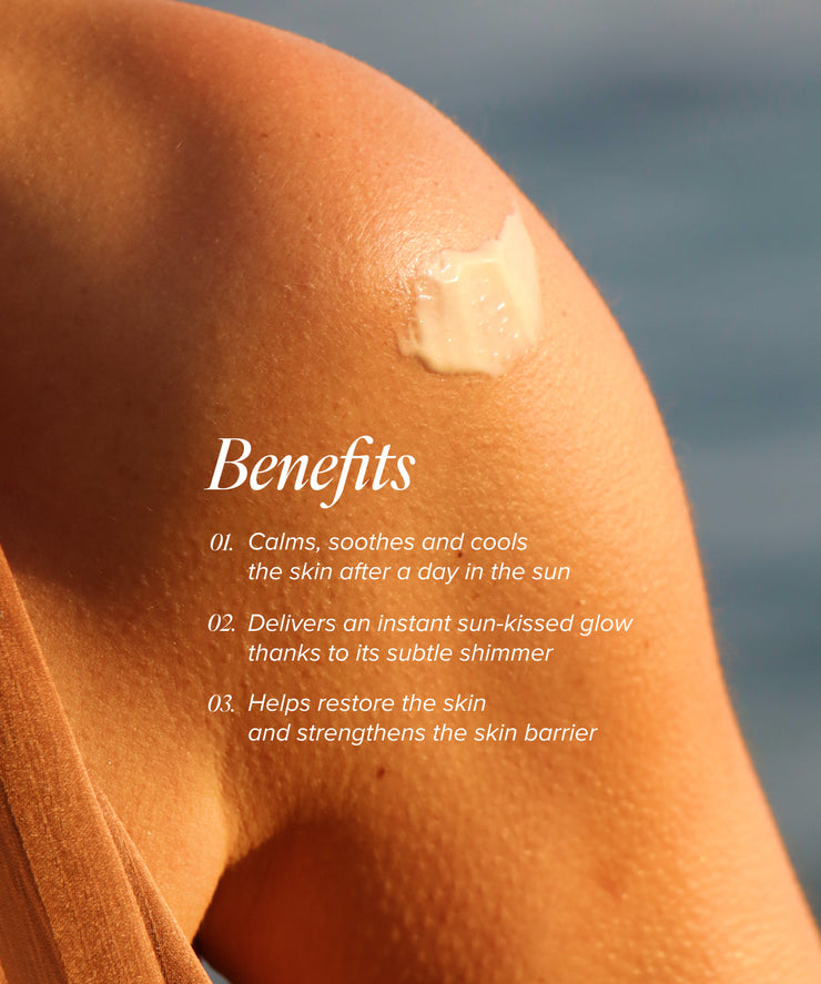 Après Soleil Lotion Foundation Brush