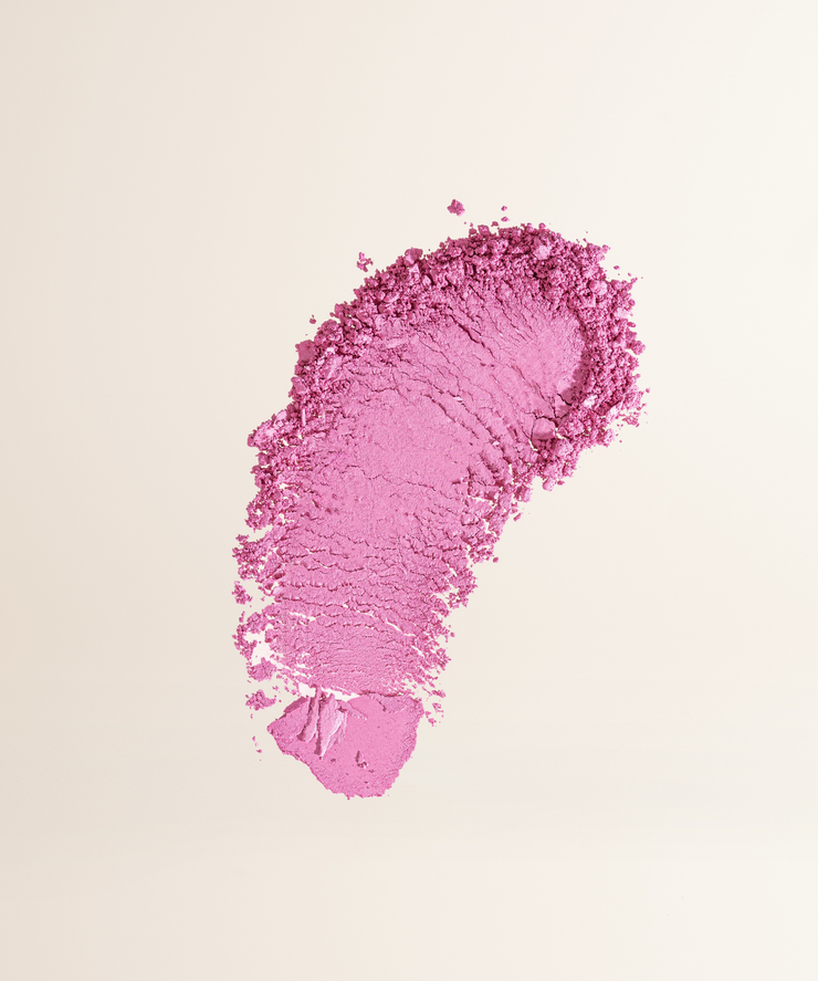 Foundation Brush