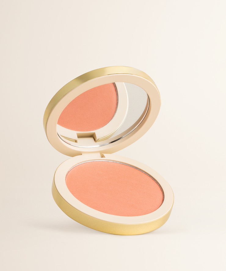 Foundation Brush