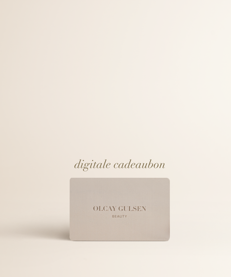 Foundation Brush