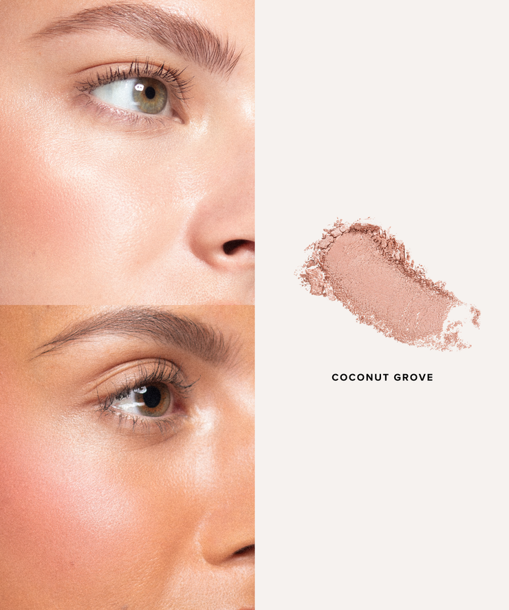 Foundation Brush