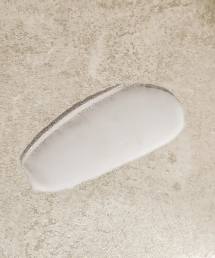 Foundation Brush