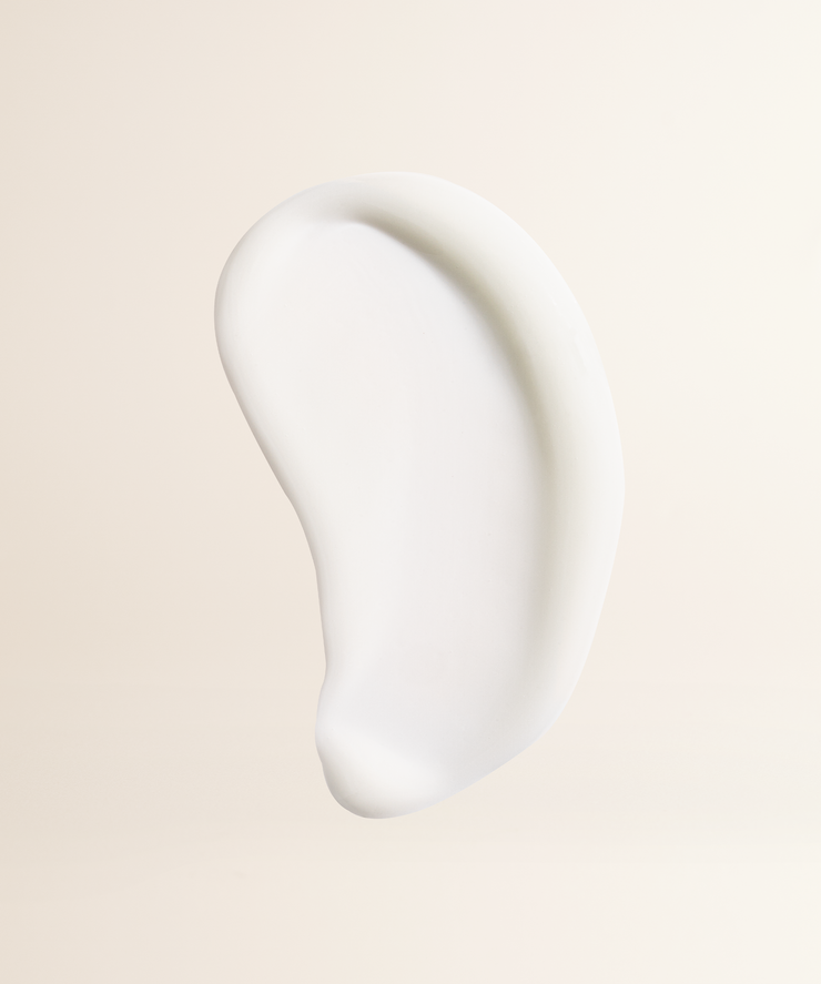 Foundation Brush