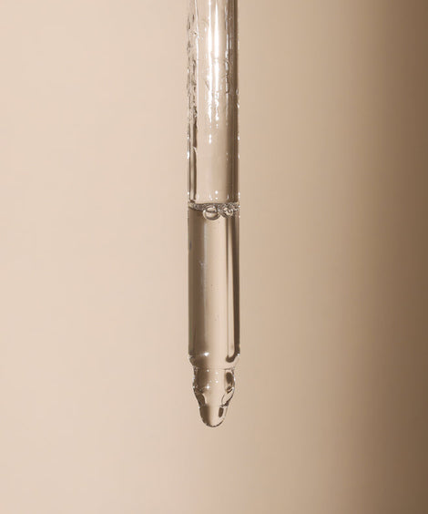 Foundation Brush