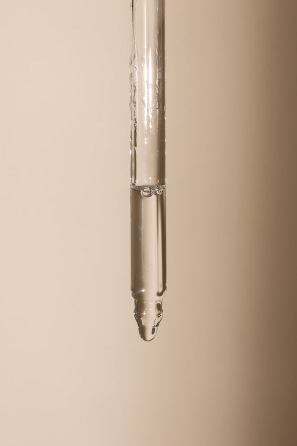 Foundation Brush
